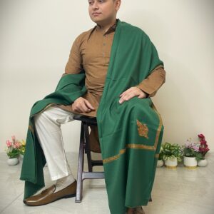 Kashmiri Pashmina Shawl  Green - HP242-G-Model-7