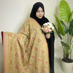 Kani Royel Kashmiri Pashmina Shawl for Queens- HP128-Golap-Light Green-Model-02