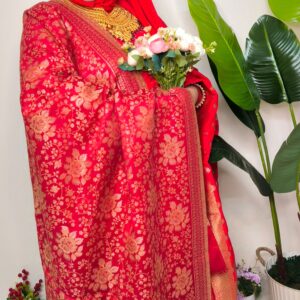 Kani Royel Kashmiri Pashmina Shawl for Queens- HP128-Golap-Red-Model-03