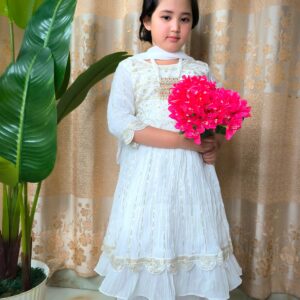 FAIRY NAIRA CUT DRESS - HPG-01-Model-1